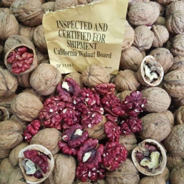 Óc chó đỏ Mỹ