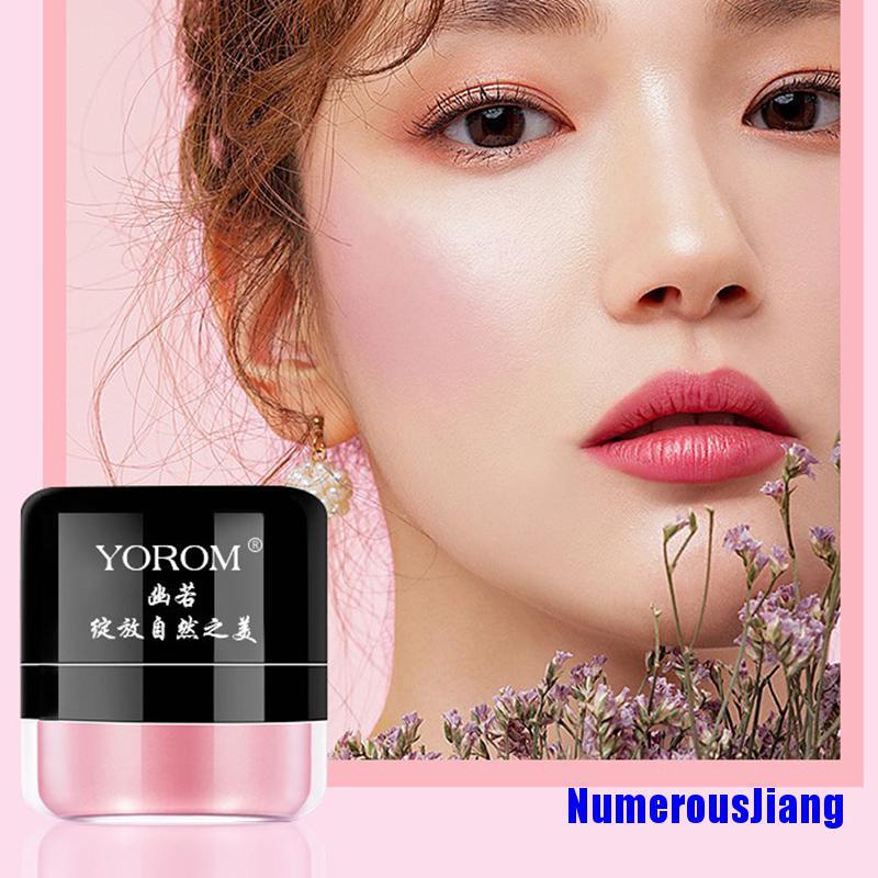 (Hàng Mới Về) Phấn Má Hồng Nuôi Dưỡng Và Làm Sáng Da Cao Cấp | BigBuy360 - bigbuy360.vn