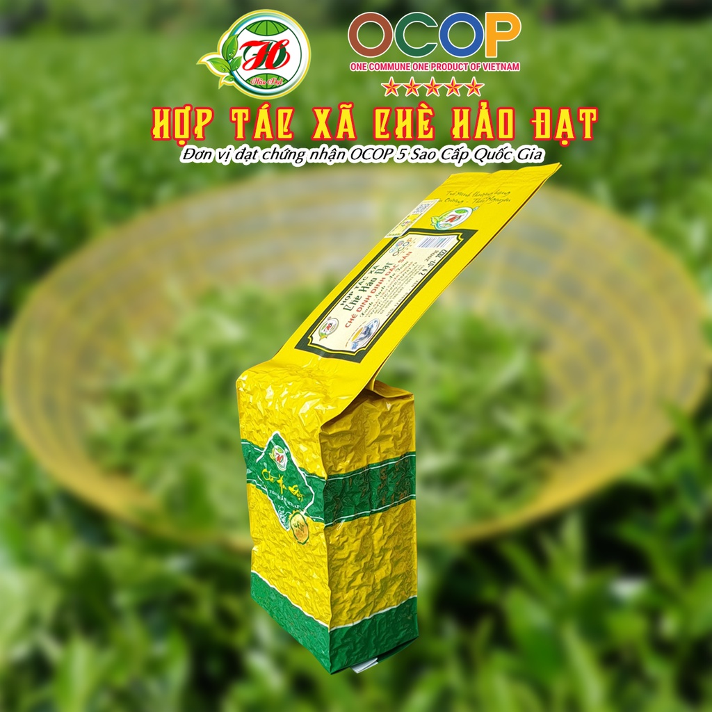 Chè Đinh Đặc Sản - Hợp Tác Xã Chè Hảo Đạt - Chè Tân Cương Thái Nguyên