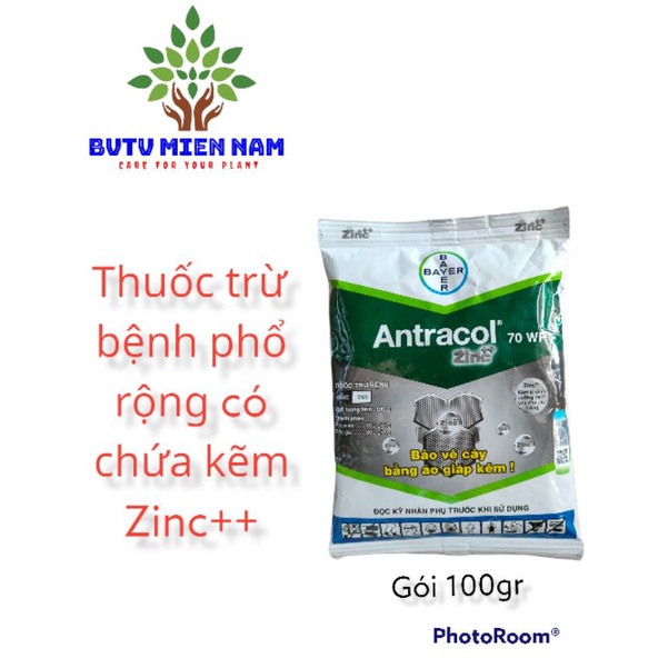 Antracol 70WP Zinc++, nấm bệnh hoa hồng, hoa lan, cây cảnh, lúa, hoa màu
