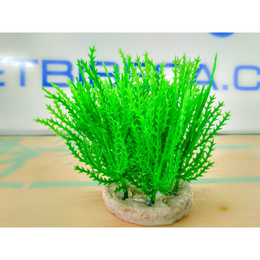 Bộ trang trí bể cá 5 cây nhựa thấp màu xanh