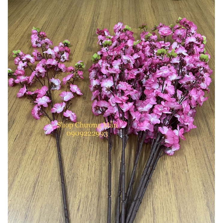 10 Cành Mai Đào - Anh Đào 1Mét Giả Vải Lụa Cao Cấp Decor Nhà Ngày Tết