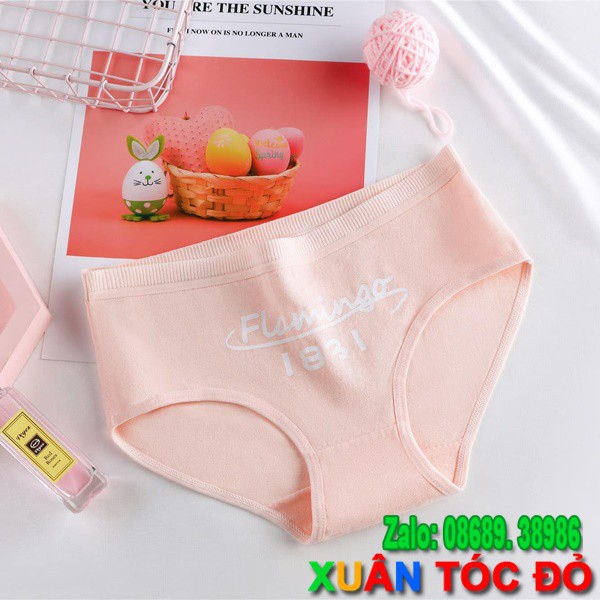 SỈ ZALO RẺ HƠN NHIỀU_ Quần Lót Thiên Nga Màu Hồng Mới 5067 | BigBuy360 - bigbuy360.vn