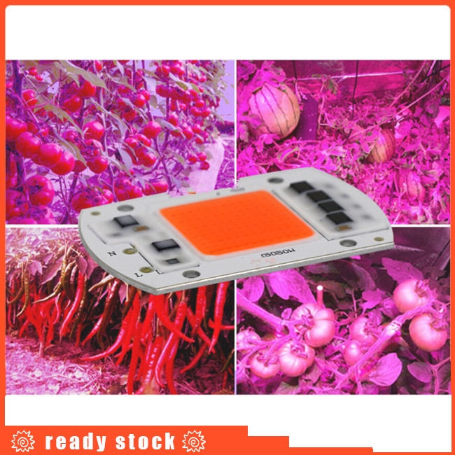 Đèn led 15W/20W/30W/50W dành cho sự quang hợp của thực vật