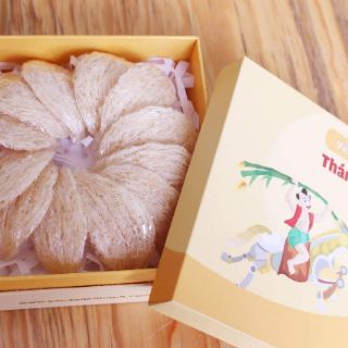 Yến sào trẻ em Thánh Gióng