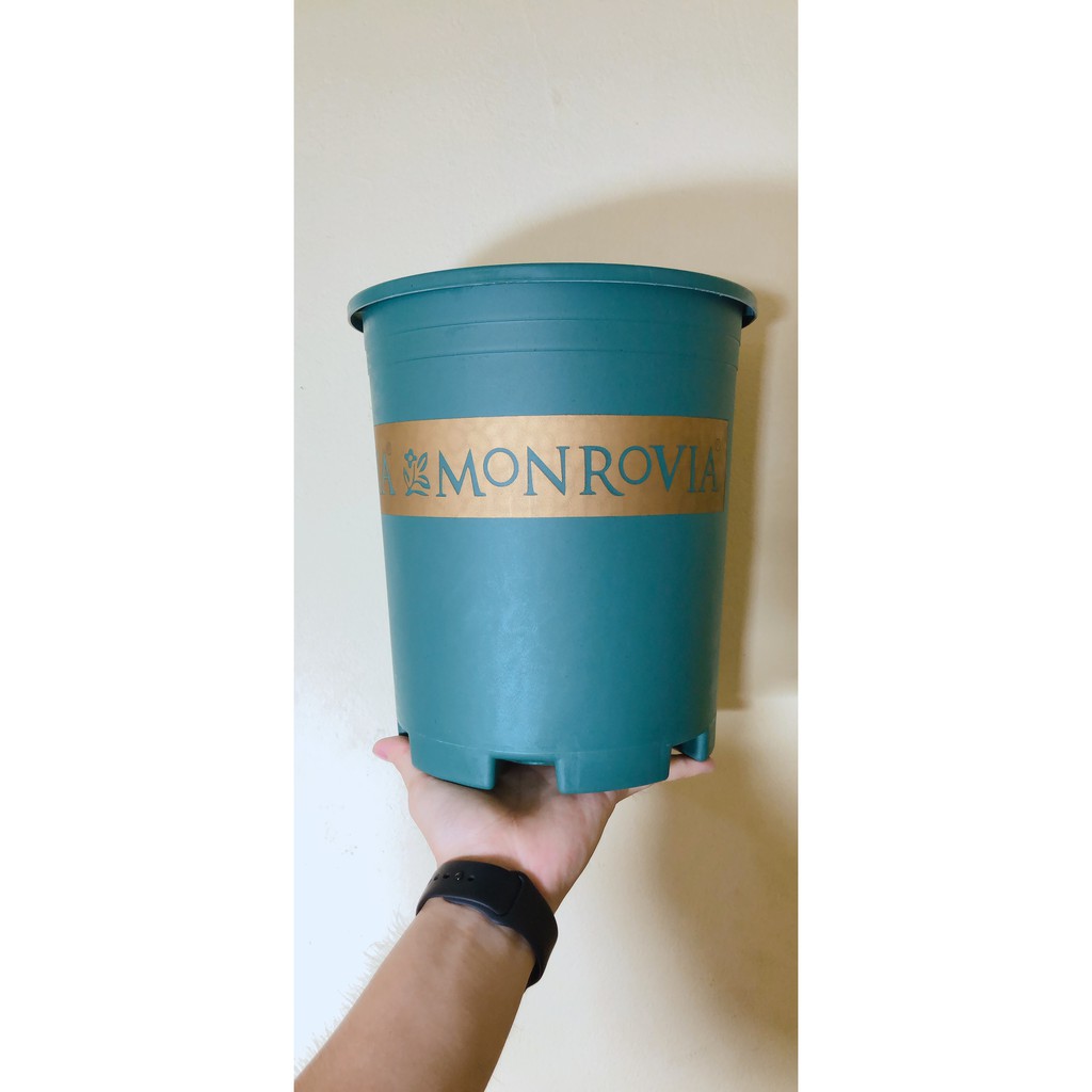 Chậu nhựa MONROVIA 2 màu sắc 4 kích thước 1GL 2GL 3GL 5GL Việt Nam - Chậu trồng cây cảnh