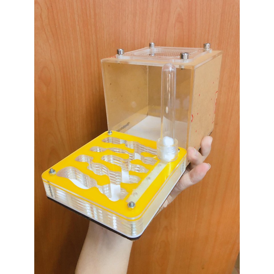 Formicarium / Tổ nuôi kiến / hộp nuôi kiến nằm 10cm