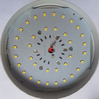 Bóng đèn trụ 12v đủ watt