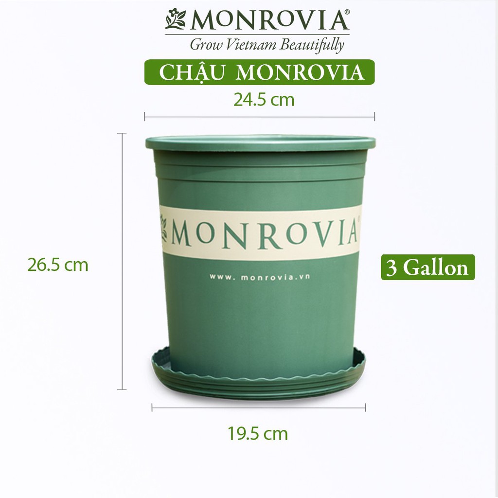 Chậu nhựa trồng cây MONROVIA 3 Gallon để bàn, treo ban công, treo tường, ngoài trời, sân vườn, tiêu chuẩn Châu Âu