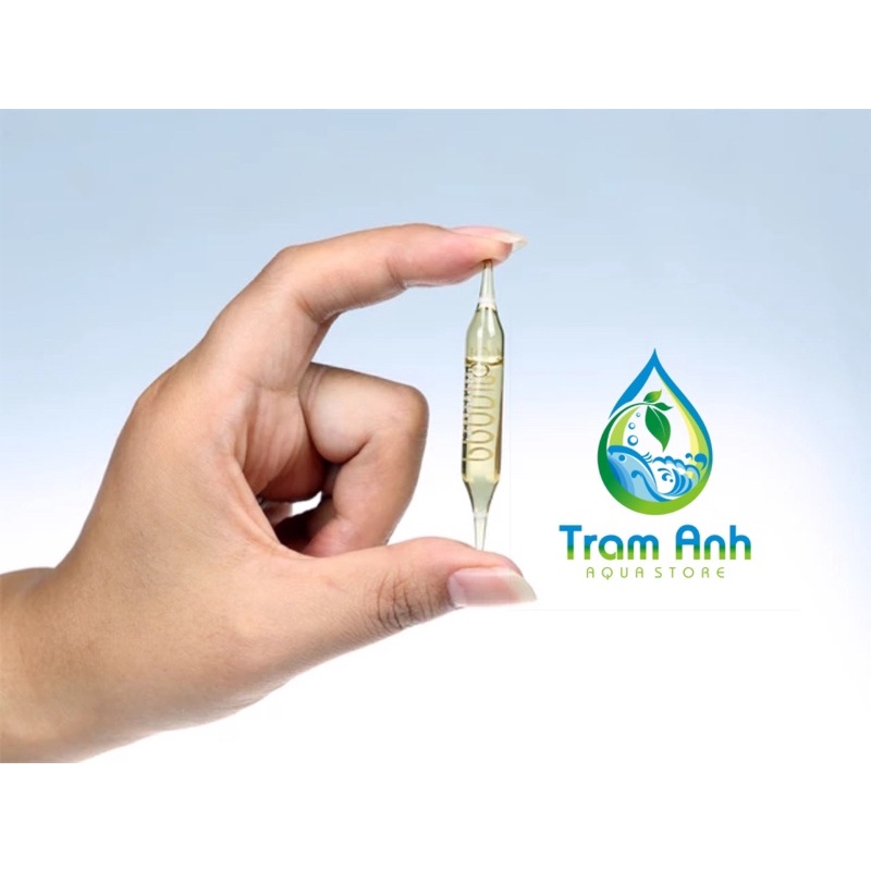 Vi sinh sống Prodibio Bio Digest - PRODIBIO BIOTRACE - Bio STOP AMMO - Vi sinh cao cấp cho hồ thủy sinh - nước mặn