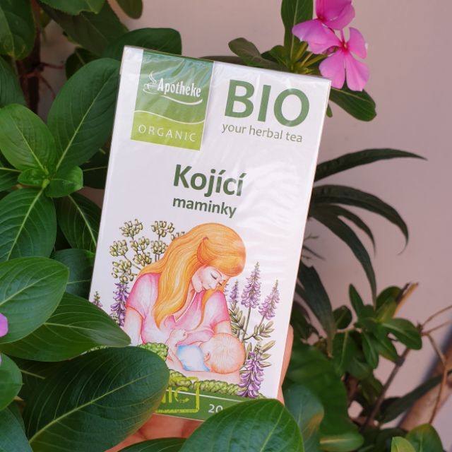 [Mã 77FMCGSALE1 giảm 10% đơn 250K] Trà lợi sữa hữu cơ Kojici Apotheke Bio 20 gói