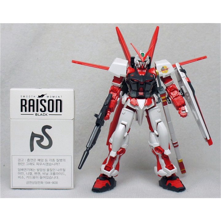 Mô Hình Lắp Ráp Gundam HG Astray Red Flight Unit (TT Hongli) (tặng kèm base)