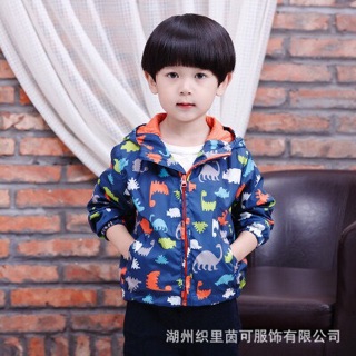 Áo gió lót lưới khủng Long 