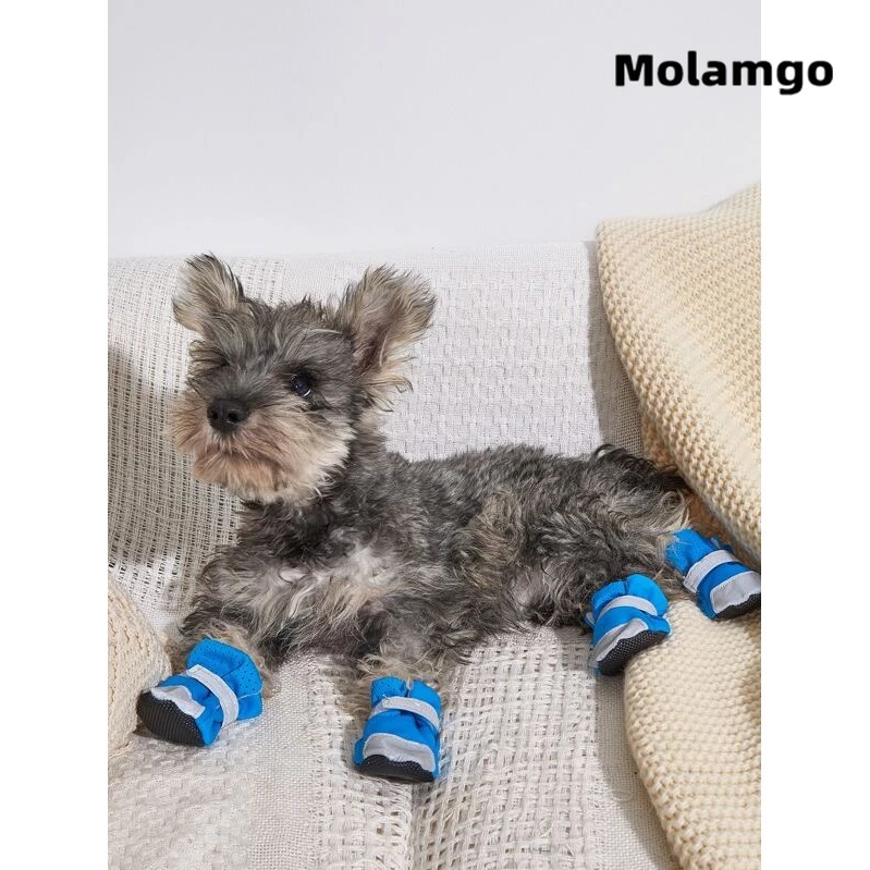 Giày Thể Thao Đế Mềm Thoáng Khí Họa Tiết Gấu Teddy Phản Quang Dễ Thương