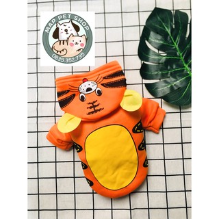 áo gấu cho chó mèo