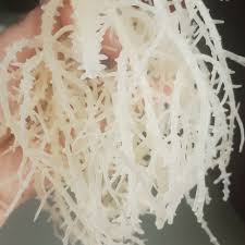 RONG SỤN MUỐI /RONG SỤN GAI NẤU CHÈ,LÀM GỎI...{500G/1KG]