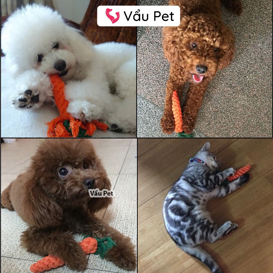 Đồ chơi cho chó mèo cà rốt bện thừng Vẩu Pet Shop