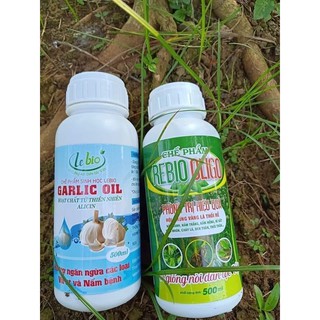 Combo 2 sản phẩm OLIGO 500ml + GARLIC OIL 500ml - Chuyên trị và phòng các bệnh nấm như: nấm lá, nấm thân, gỉ sắt,...
