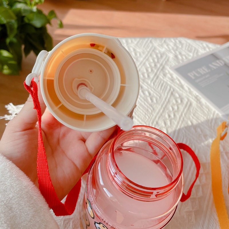Bình Nước Đi Học Cho Bé Có Ống Hút Cute Dung Tích 470ml BN21