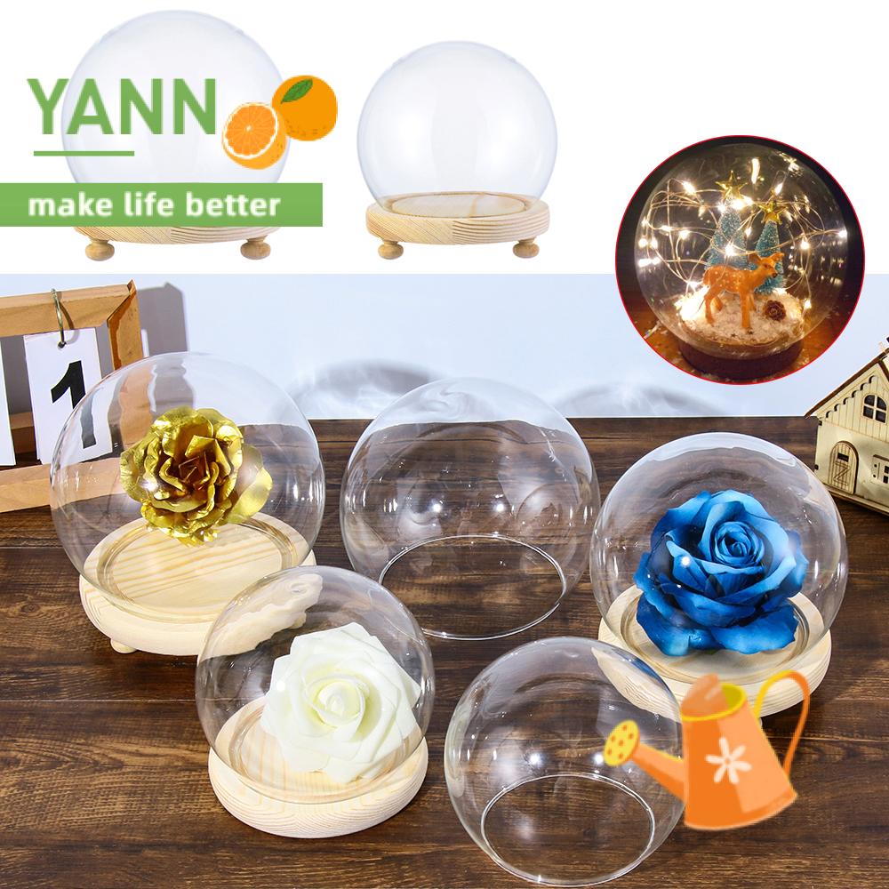 Hộp đựng chậu hoa/ cây cảnh bằng thủy tinh trong suốt đế gỗ hình cầu để bàn trang trí nhà cửa (có bán lẻ)