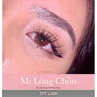 Mi Chồn Tơ