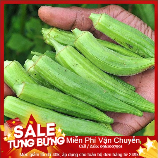 Hạt Giống Đậu Bắp Cao Sản - 10 hạt