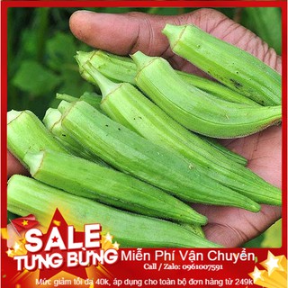 Hạt Giống Đậu Bắp Cao Sản - 10 hạt