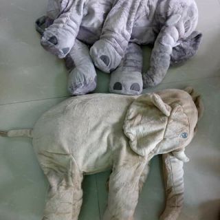 Gấu bông của sisi