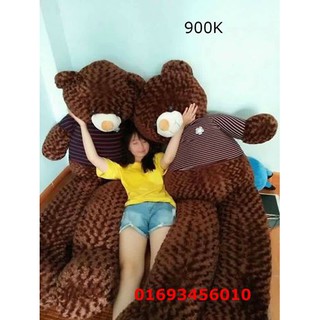 [ SHOPEE TRỢ GIÁ] GẤU BÔNG TEDDY CAO CẤP 2M2 (socola)