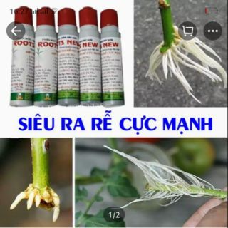 Kích rễ Roots new