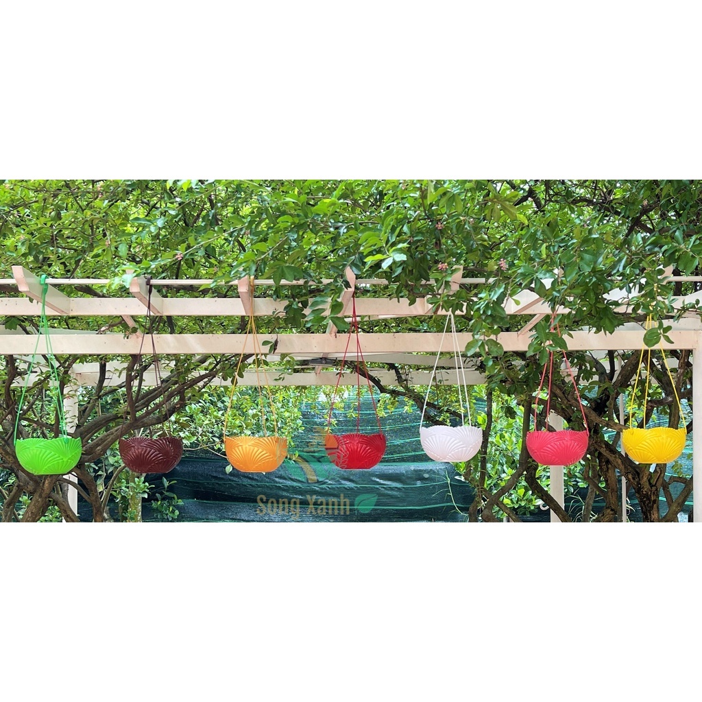 Chậu Nhựa Treo Họa Tiết Vỏ Sò, Nhựa Dẻo loại 1, Sẵn lỗ thoát nước .