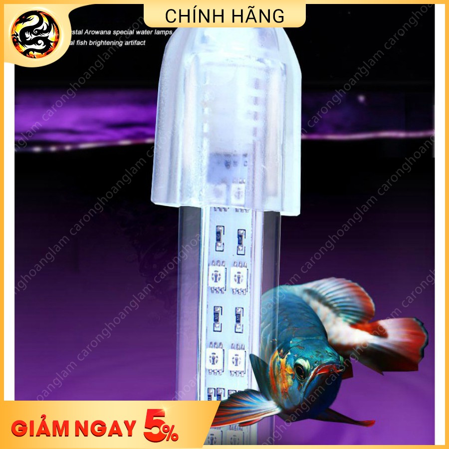 Đèn LED XUANMEILONG 2 Hàng Bóng PHIÊN BẢN THỦY TINH LIMITED CHUYÊN DỤNG CHO CÁ RỒNG