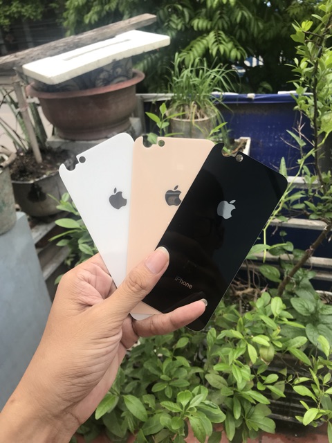 Cường lực lưng hàng loại 1 đủ mã từ IP6-XS MAX