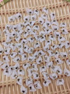 Hoa bột nail ( hoa chân )