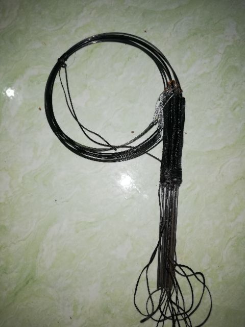 Giò đánh chim quốc . gà nước . bìm bịp