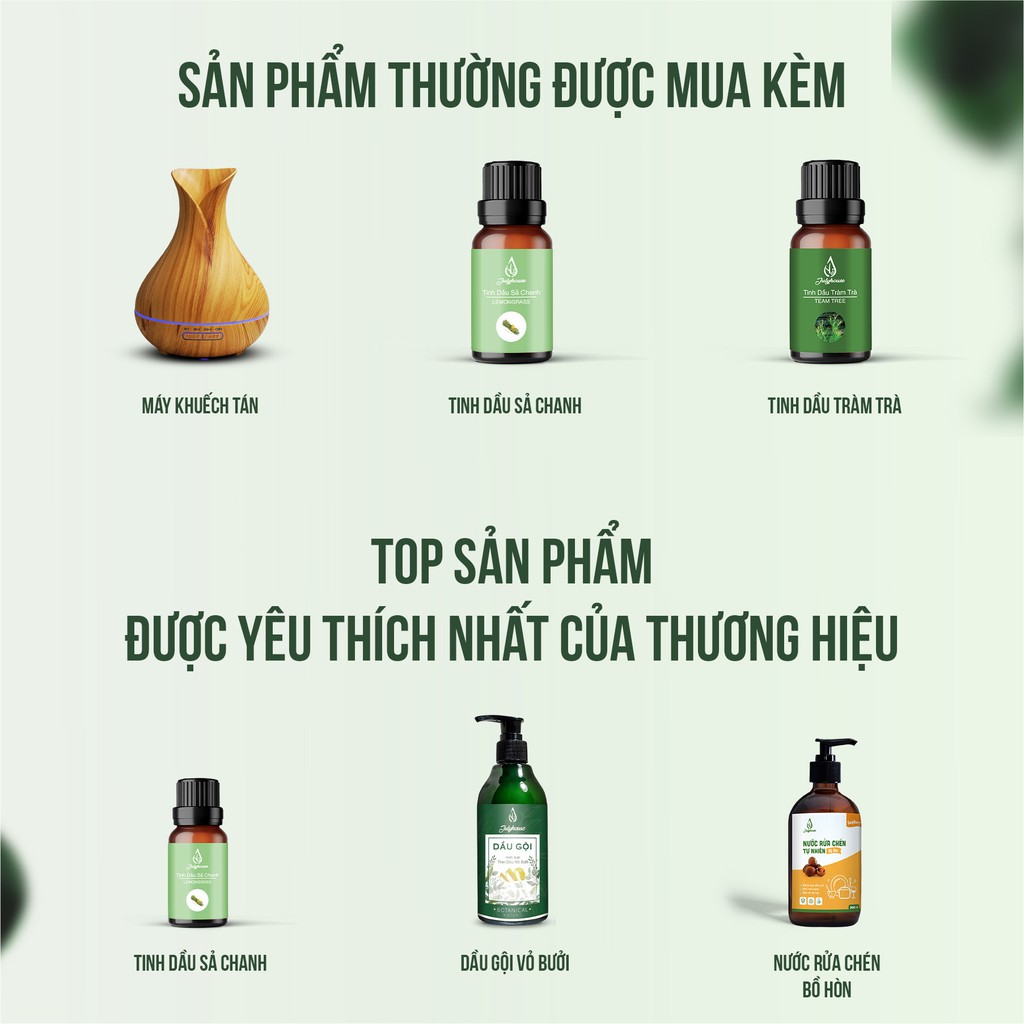 Tinh dầu Đinh Hương 10ml Julyhouse