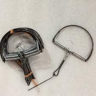 Bẫy chuột bán nguyệt có răng cưa siêu nhạy