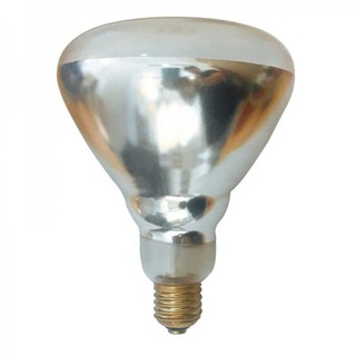 Đèn hâm nóng thức ăn gy r125