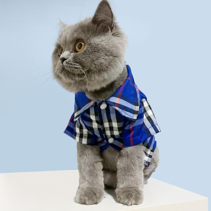 Quần áo cho chó mùa xuân và hè con mỏng manh Bichon Hiromi Schnauzer Teddy sơ mi dễ thương hợp thời trang