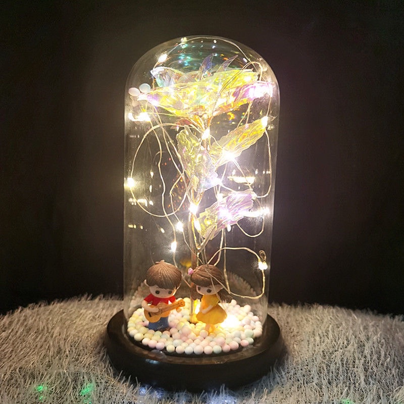Đèn led thuỷ tinh hoa hồng cặp đôi dành tặng bạn gái - Hàng sẵn