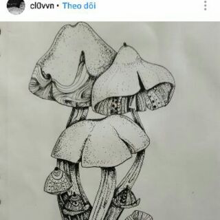 Bút line Sakura Micron