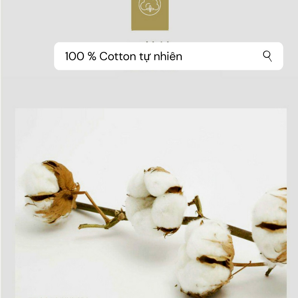 Áo thun ba lỗ nữ cao cấp áo thun 3 lỗ nữ cao cấp đủ màu | BigBuy360 - bigbuy360.vn