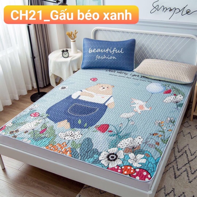 [LOẠI 1] Chiếu điều hoà cao su non 5D - mát lạnh mới nhất