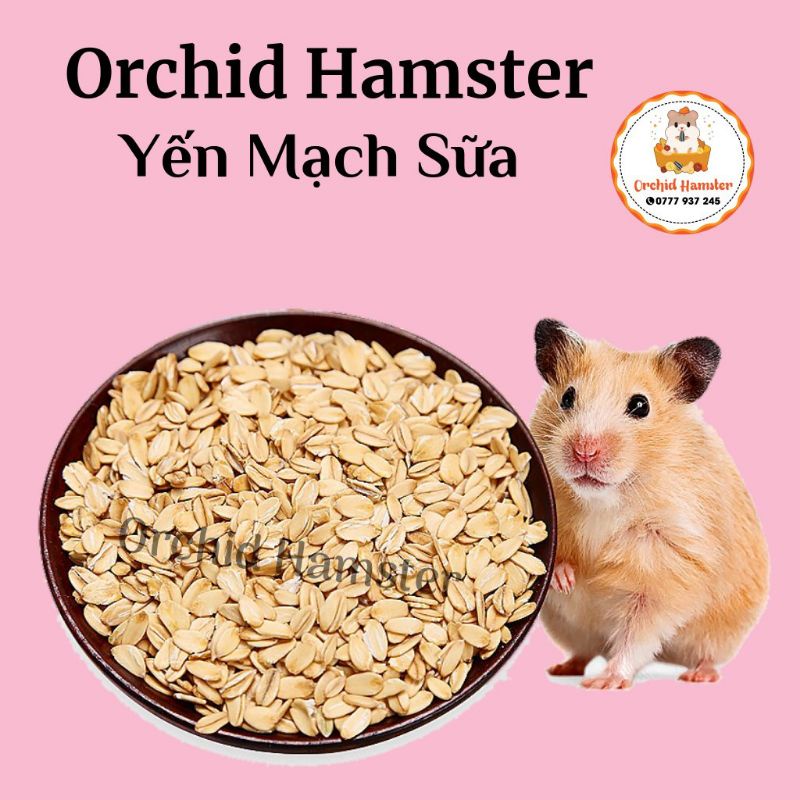 Yến Mạch Hamster Giúp Bé Nhanh Mập