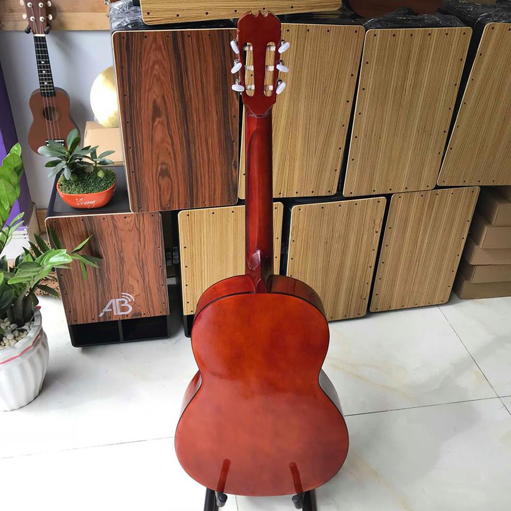 Đàn guitar classic có ty chống cong - Đàn tập chơi không đau tay