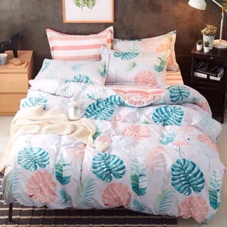 Set Poly cotton nhập khẩu
