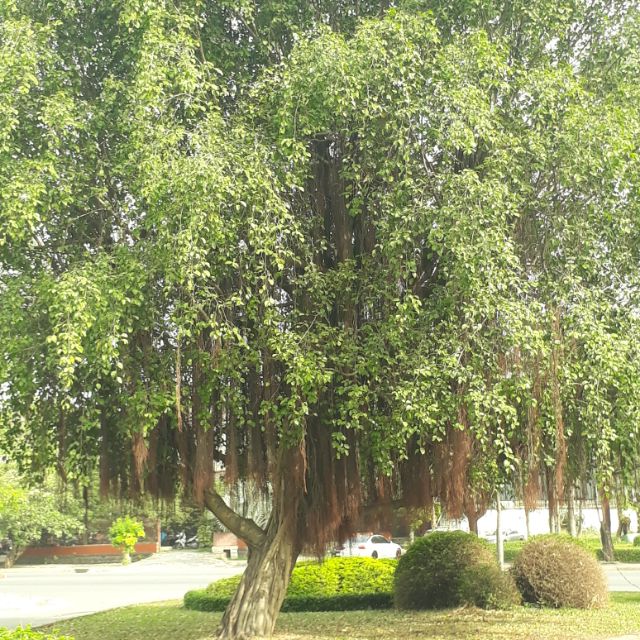 thoitrangxuongmay