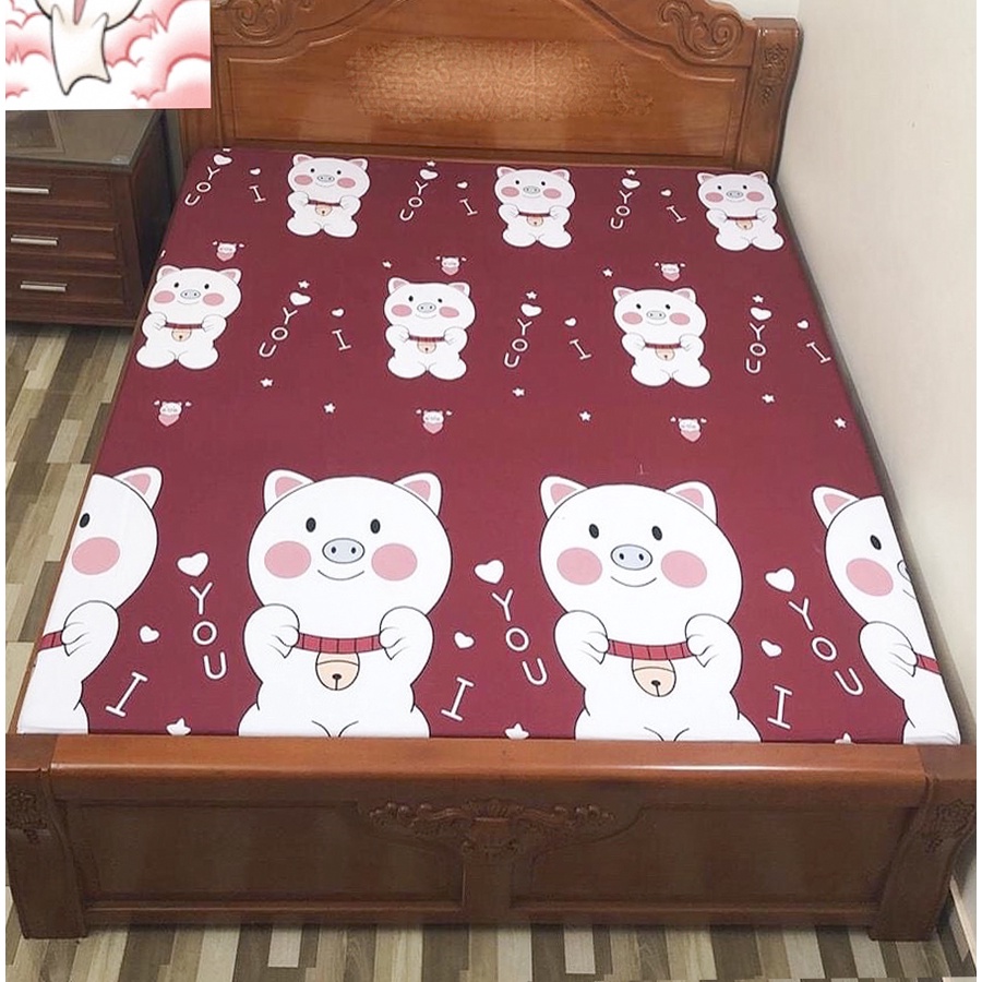 Ga chống thấm cotton m2/m6/m8/2m2, Ra thun chống nước an toàn cho nệm được ưa chuộng - BeenDecor