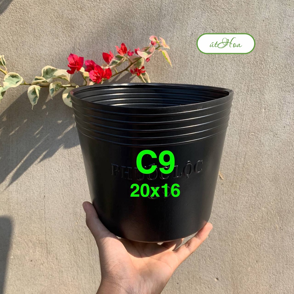 Chậu nhựa đen C9 (20×16 cm) trồng cây dày dặn