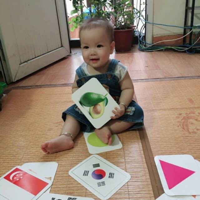 [SIZE TO] Bộ Thẻ Học Thông Minh 18 Chủ Đề 288 thẻ, flashcard song ngữ loại chuẩn, Glenn Doman Flashcard cho bé